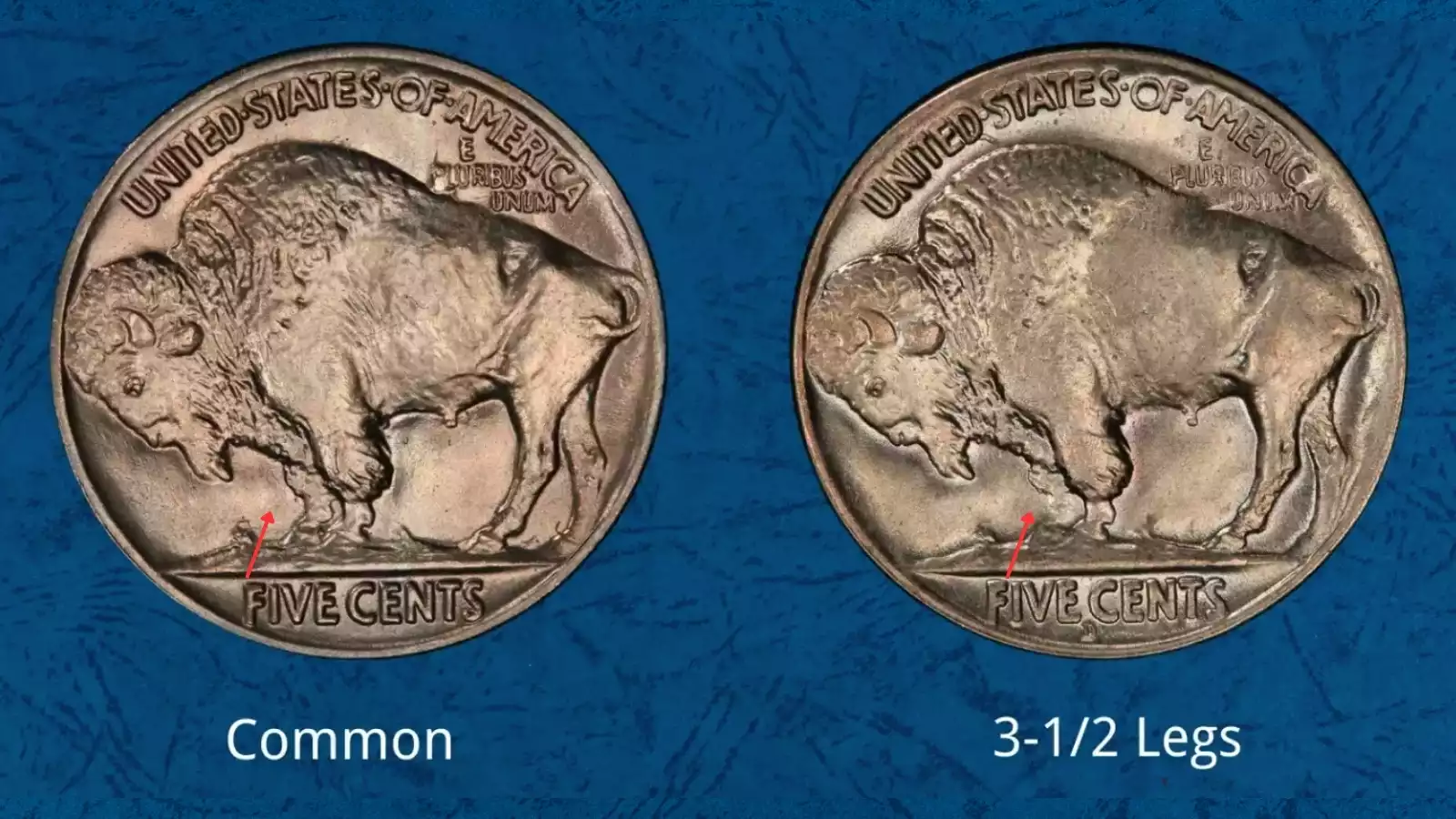 1926-D Buffalo nickel 3½ Legs variety showing the missing upper front leg of the buffalo on the reverse