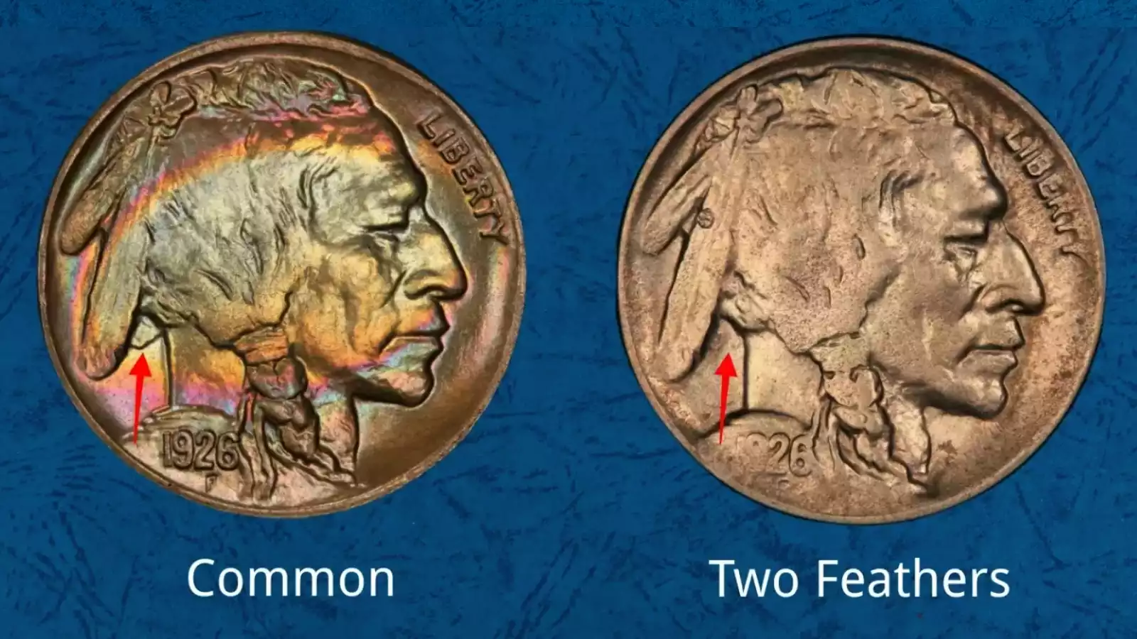 1926-D Buffalo nickel Two Feathers variety obverse showing only two feathers visible in the Native American's headdress