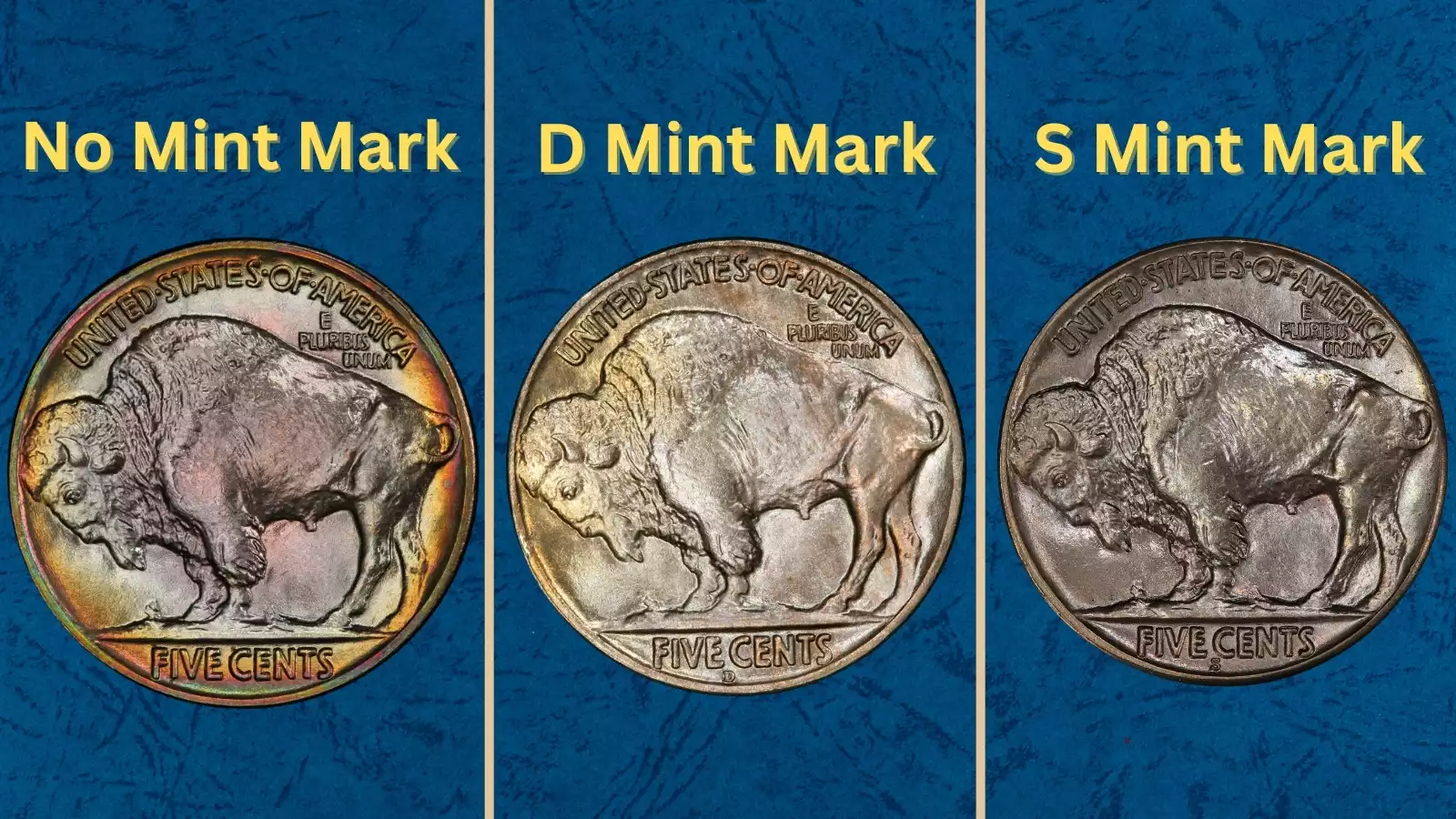 Group photograph of 1926 Buffalo nickels from all three mints — Philadelphia, Denver, and San Francisco — arranged side by side